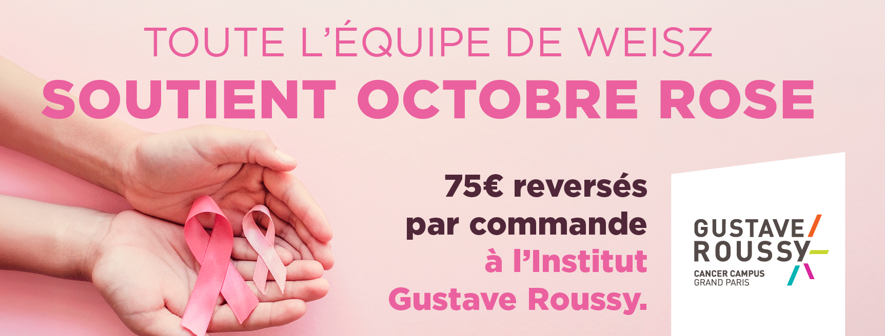 LANDING_PAGE_828x315_OCT_ROSE