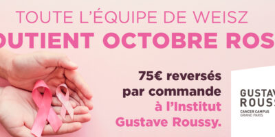 LANDING_PAGE_828x315_OCT_ROSE